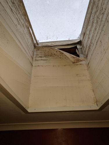 PXL_20210728_055136506.jpg PXL_20210728_055136506.jpg