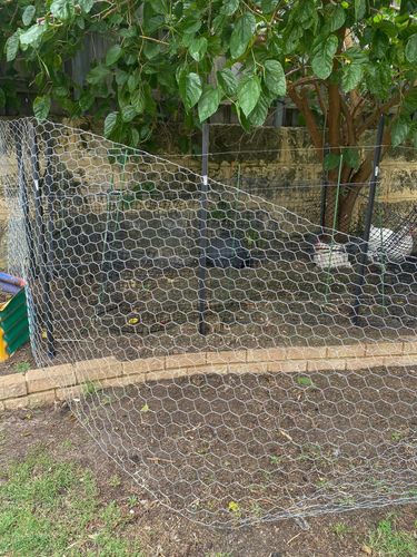 CFF50ECC-22C9-4546-8350-3B3425F4813A.jpeg CFF50ECC-22C9-4546-8350-3B3425F4813A.jpeg