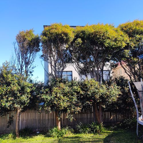 IMG20240903085207.jpg IMG20240903085207.jpg