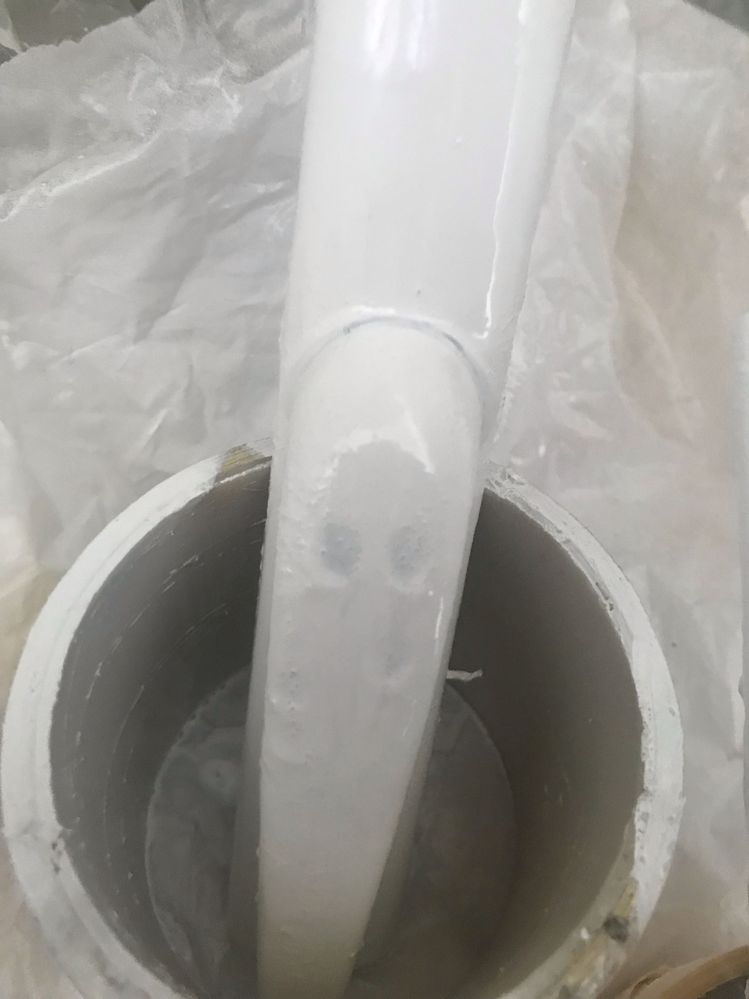 IMG_8649.jpeg IMG_8649.jpeg