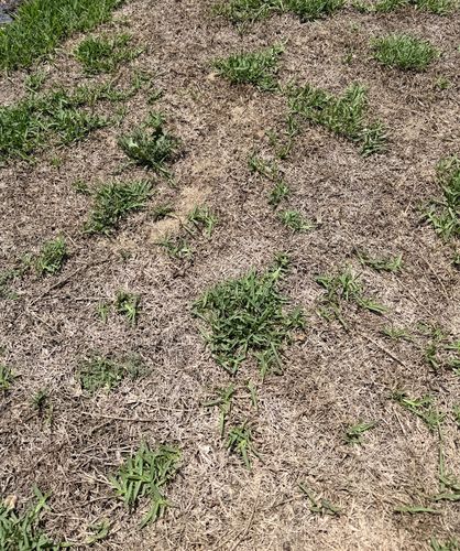 IMG_3844.jpeg IMG_3844.jpeg