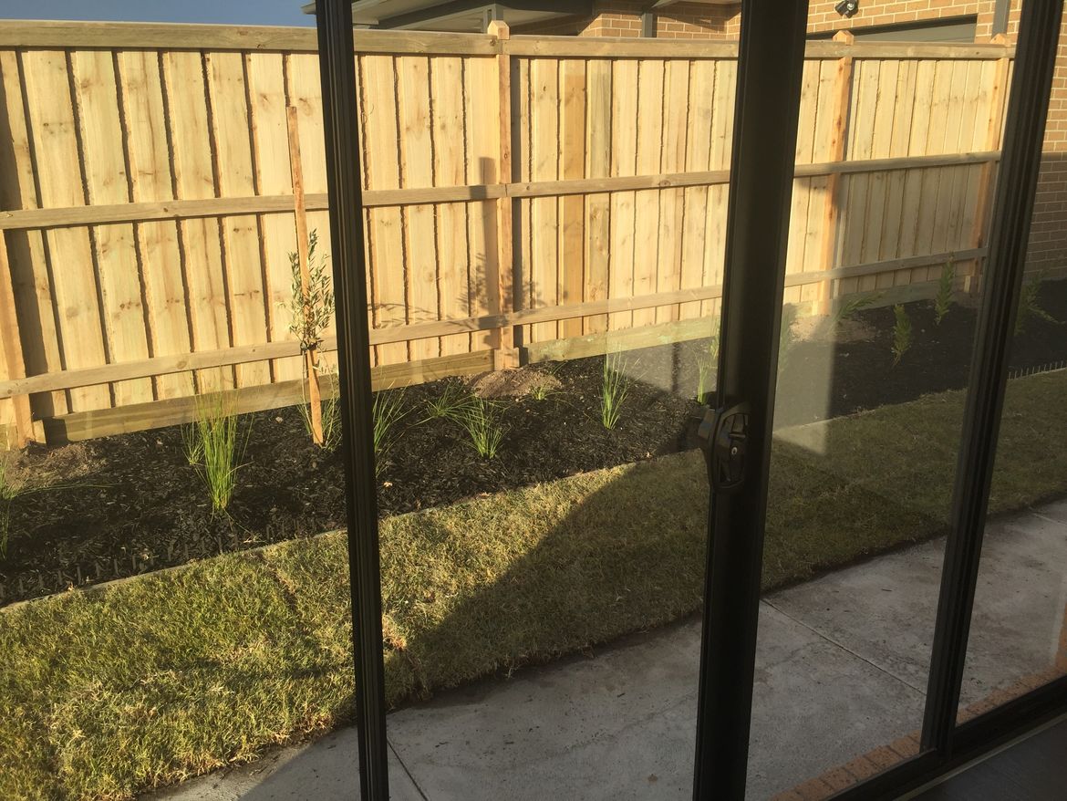 backyard-2.jpg backyard-2.jpg