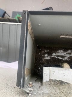 IMG_1524.jpg IMG_1524.jpg