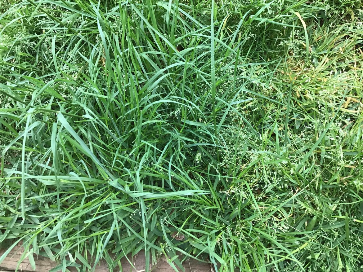 IMG_5055.jpeg IMG_5055.jpeg