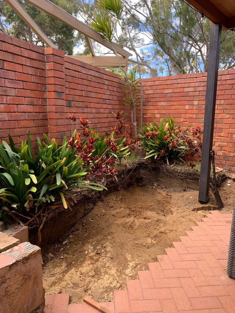 IMG_1677.JPEG IMG_1677.JPEG