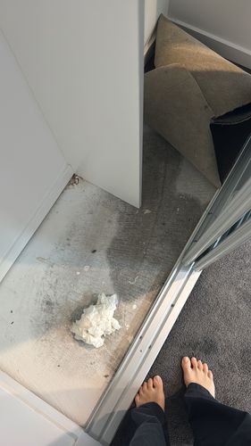 7E7689E8-B9A8-415B-A8DC-631027C9A753.jpeg 7E7689E8-B9A8-415B-A8DC-631027C9A753.jpeg