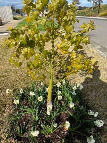 0EE28827-11CC-4159-B589-017F2266F6B7.jpeg 0EE28827-11CC-4159-B589-017F2266F6B7.jpeg