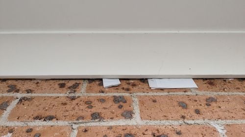 1000011157.jpg 1000011157.jpg