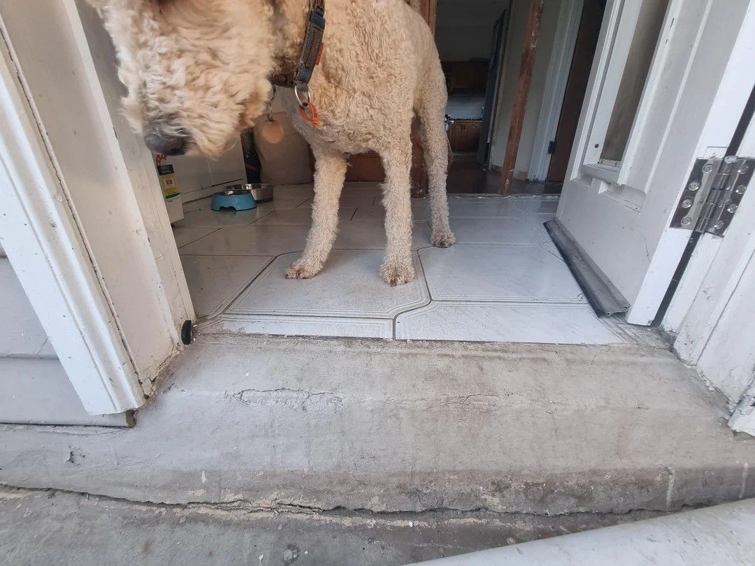 doorway-ezgif.com-webp-to-jpg-converter.jpg doorway-ezgif.com-webp-to-jpg-converter.jpg