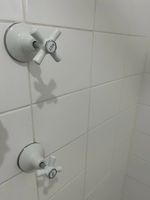 IMG_0555.jpeg IMG_0555.jpeg