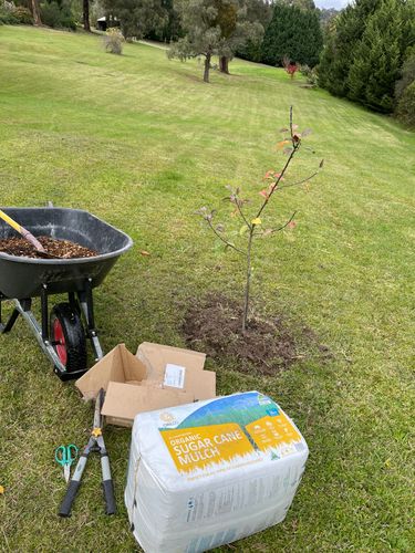 12C136C5-E0A0-4340-BED7-566BF4767BCC.jpeg 12C136C5-E0A0-4340-BED7-566BF4767BCC.jpeg