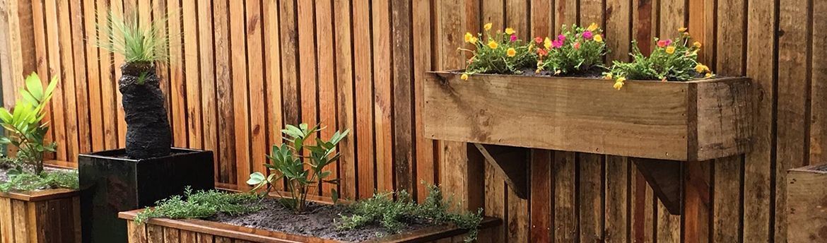 StevieB_1-1625662749664.jpeg StevieB_1-1625662749664.jpeg