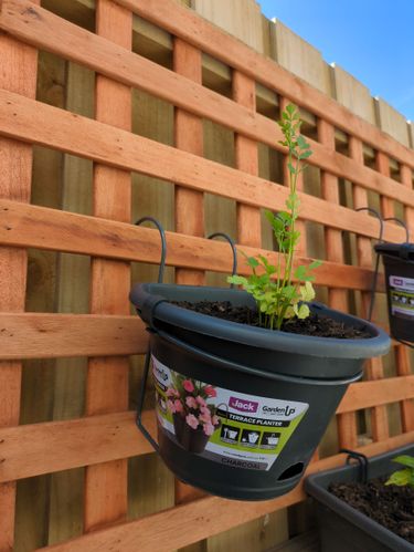 2024-10-2610.23.034793529456854143770.jpg 2024-10-2610.23.034793529456854143770.jpg