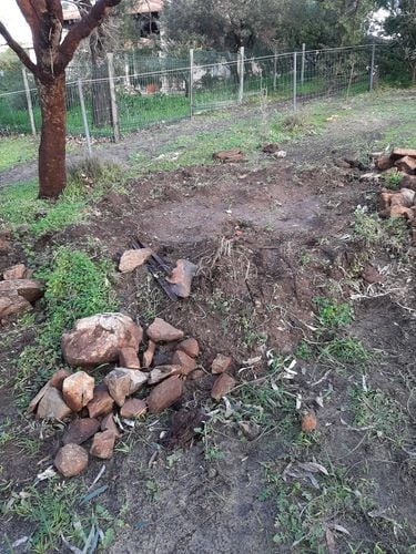 20210801_150538.jpg 20210801_150538.jpg