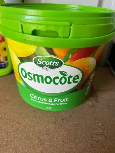 IMG_8875.jpeg IMG_8875.jpeg