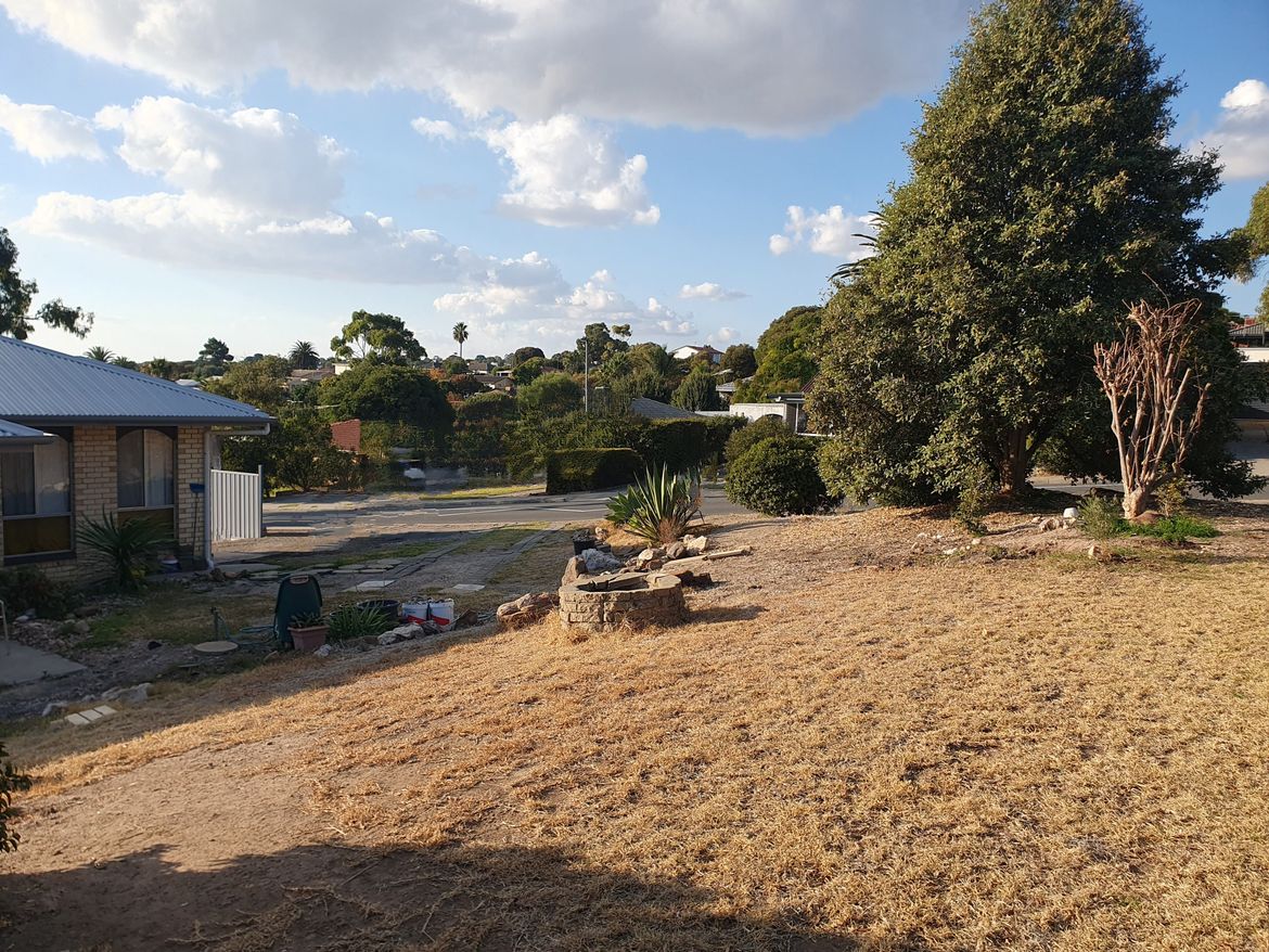 20240510_155342~2.jpg 20240510_155342~2.jpg