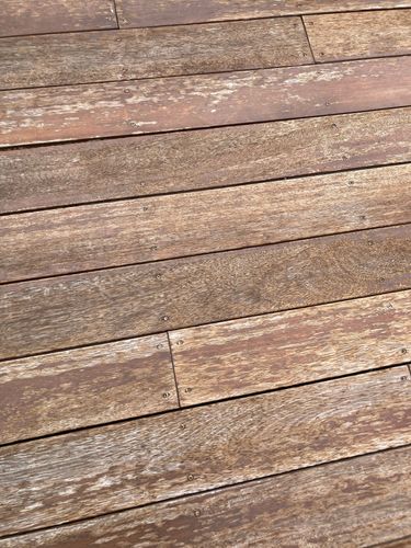 BB6B0D15-A528-4366-B78E-F6A7C53BE633.jpeg BB6B0D15-A528-4366-B78E-F6A7C53BE633.jpeg