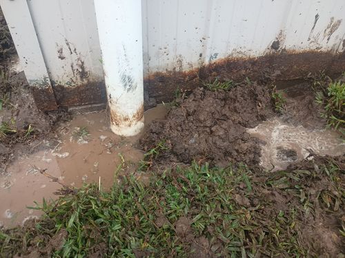 1000071021.jpg 1000071021.jpg