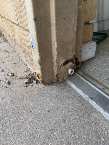 IMG_3944.jpeg IMG_3944.jpeg