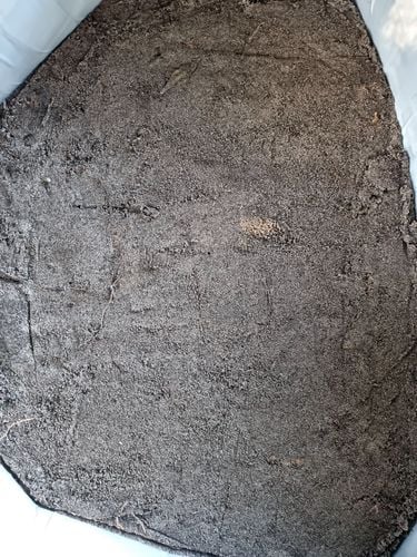 1000019213.jpg 1000019213.jpg