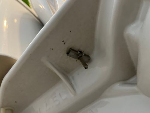 IMG_2706.jpeg IMG_2706.jpeg