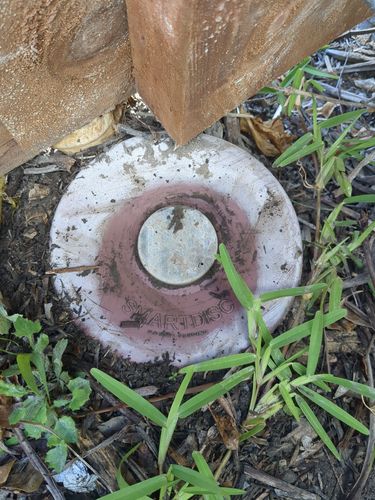 1000020672.jpg 1000020672.jpg