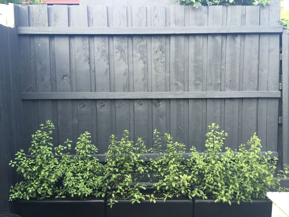 After 2.JPG After 2.JPG