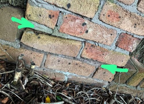 IMG_8449.jpeg IMG_8449.jpeg