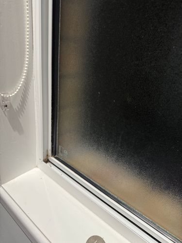 IMG_2655.jpeg IMG_2655.jpeg