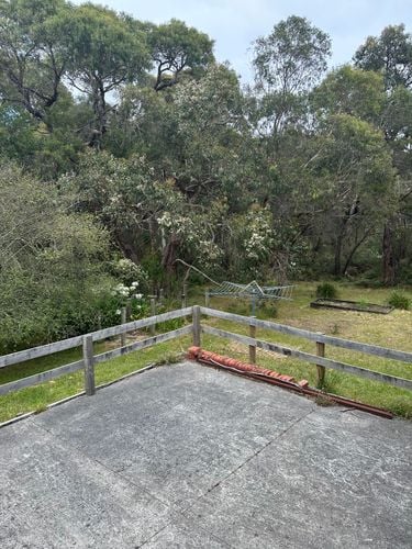 IMG_3305.jpeg IMG_3305.jpeg