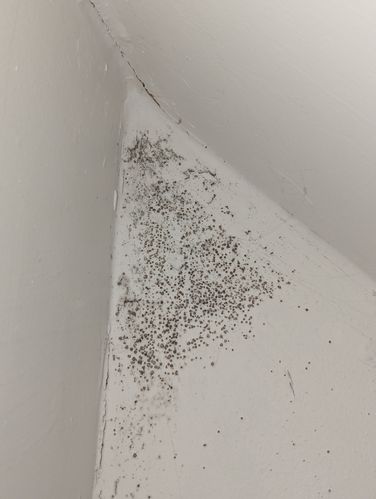 1000028104.jpg 1000028104.jpg