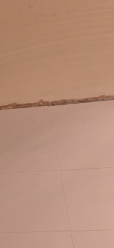 IMG_8251.png IMG_8251.png