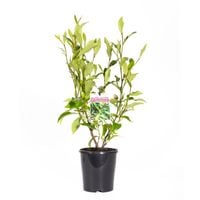 f02bd657-0c07-4ac5-9293-0bd2c49ded39.jpg f02bd657-0c07-4ac5-9293-0bd2c49ded39.jpg