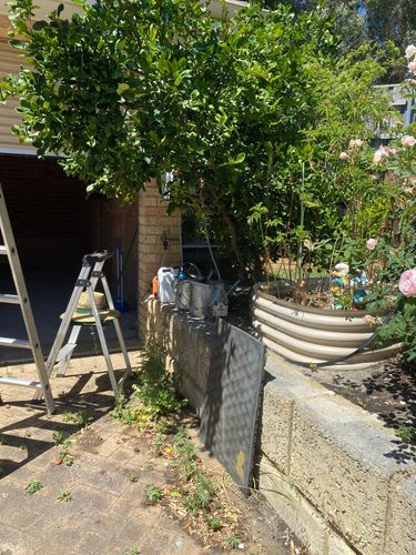 IMG_2585.jpeg IMG_2585.jpeg