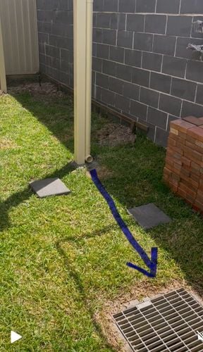 IMG_7475.jpeg IMG_7475.jpeg