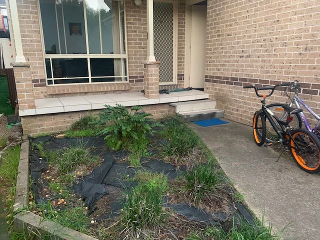 IMG_5976.jpg IMG_5976.jpg