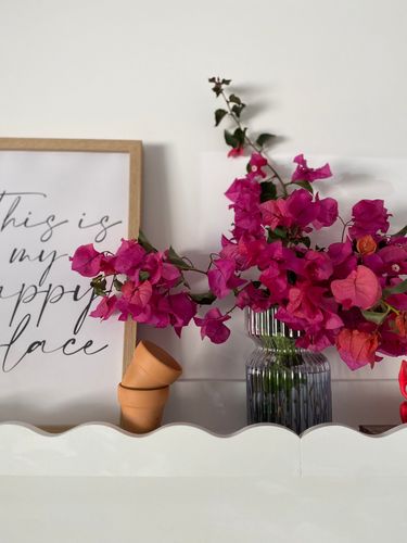 IMG_8162.jpeg IMG_8162.jpeg