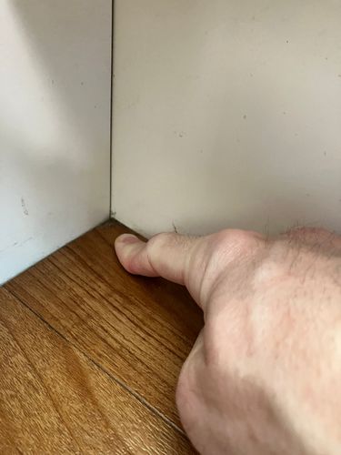 IMG_6222.jpeg IMG_6222.jpeg