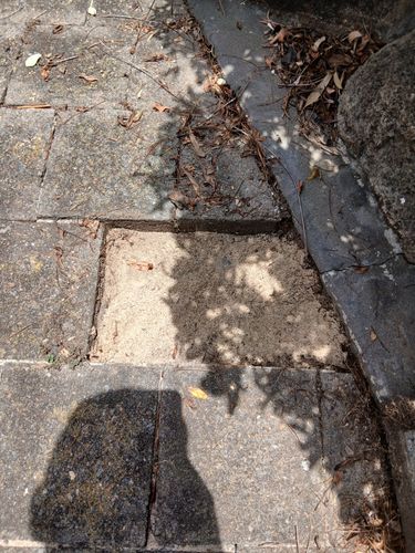 1000015474.jpg 1000015474.jpg