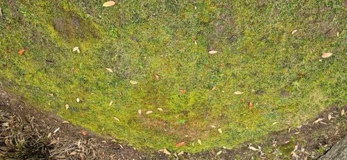 1000324406.jpg 1000324406.jpg