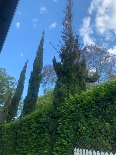 IMG_7616.jpeg IMG_7616.jpeg