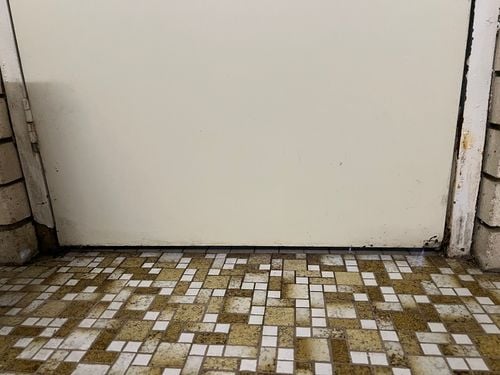 IMG_0783.jpeg IMG_0783.jpeg