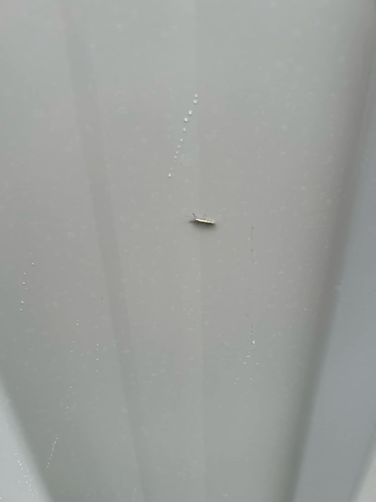 72cbd523-7ae8-495b-b762-903e4bcb340e.jpeg 72cbd523-7ae8-495b-b762-903e4bcb340e.jpeg