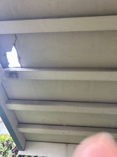 IMG_1C3458C6-23B4-46B0-8A92-451EFEB60222.jpeg IMG_1C3458C6-23B4-46B0-8A92-451EFEB60222.jpeg