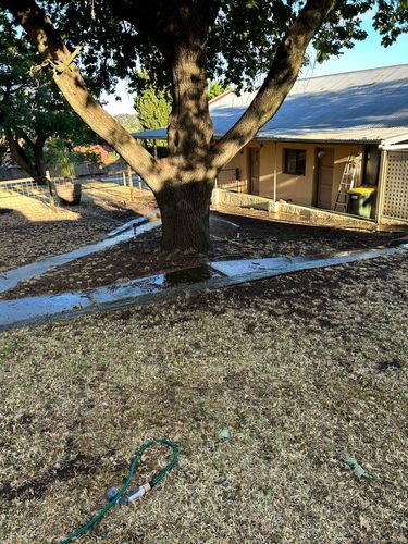 IMG_4007.jpeg IMG_4007.jpeg