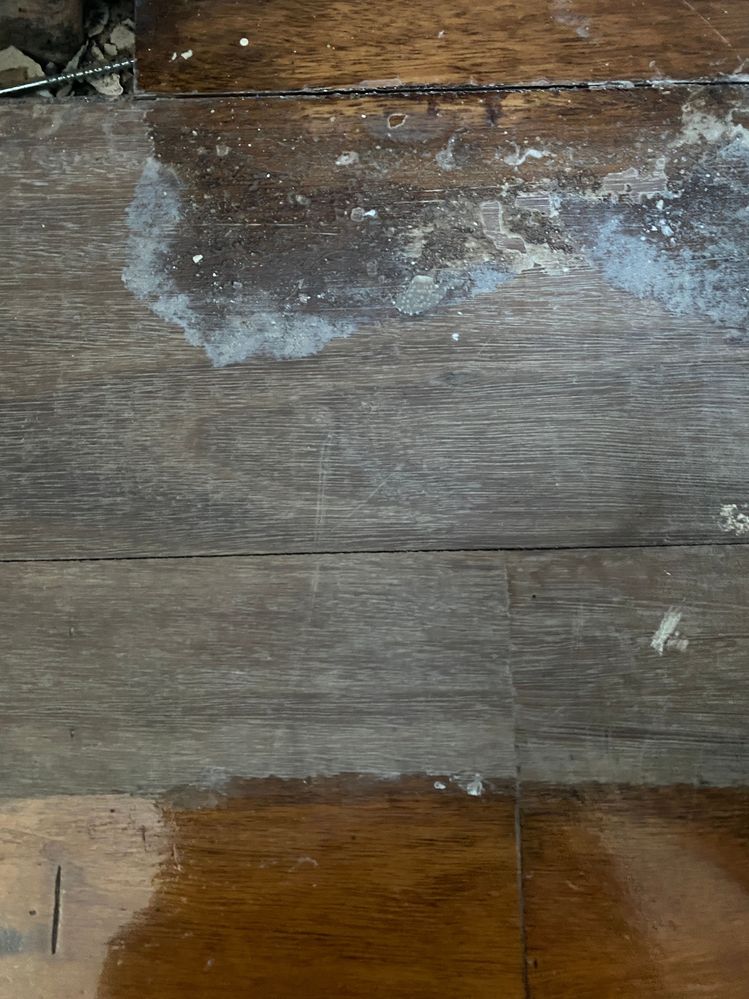 IMG_2806.JPG IMG_2806.JPG