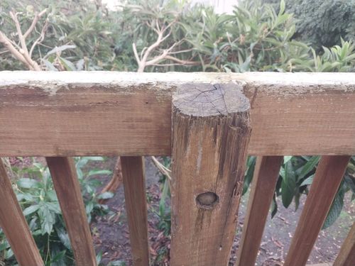 20230508_130808.jpg 20230508_130808.jpg