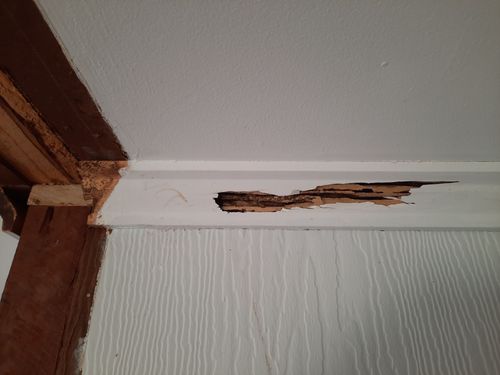 20241030_074555.jpg 20241030_074555.jpg