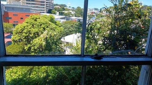 1000025495.jpg 1000025495.jpg