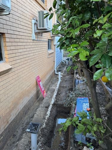 IMG_2473.jpeg IMG_2473.jpeg